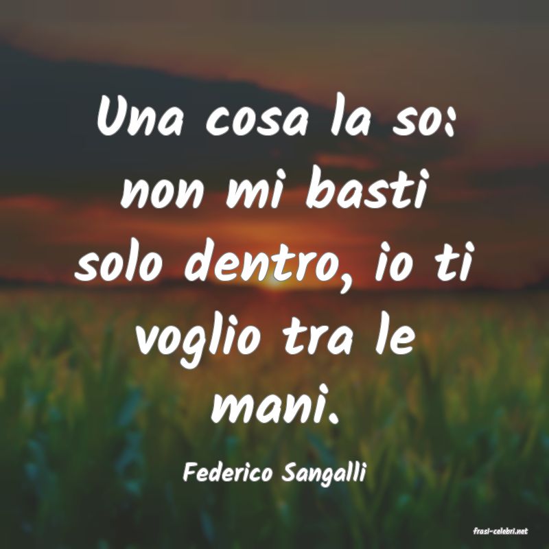 frasi di  Federico Sangalli
