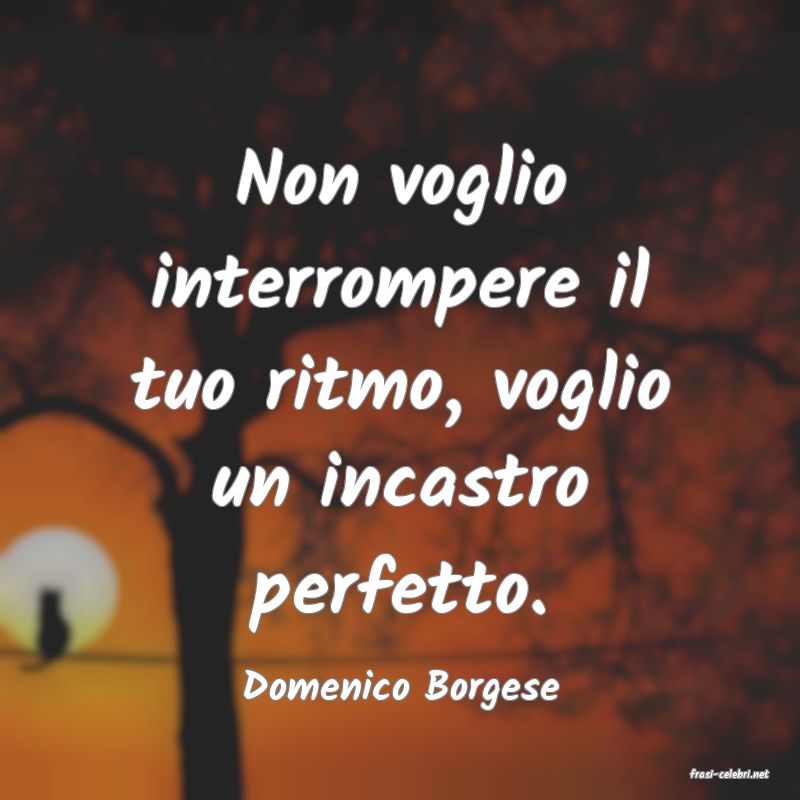 frasi di  Domenico Borgese

