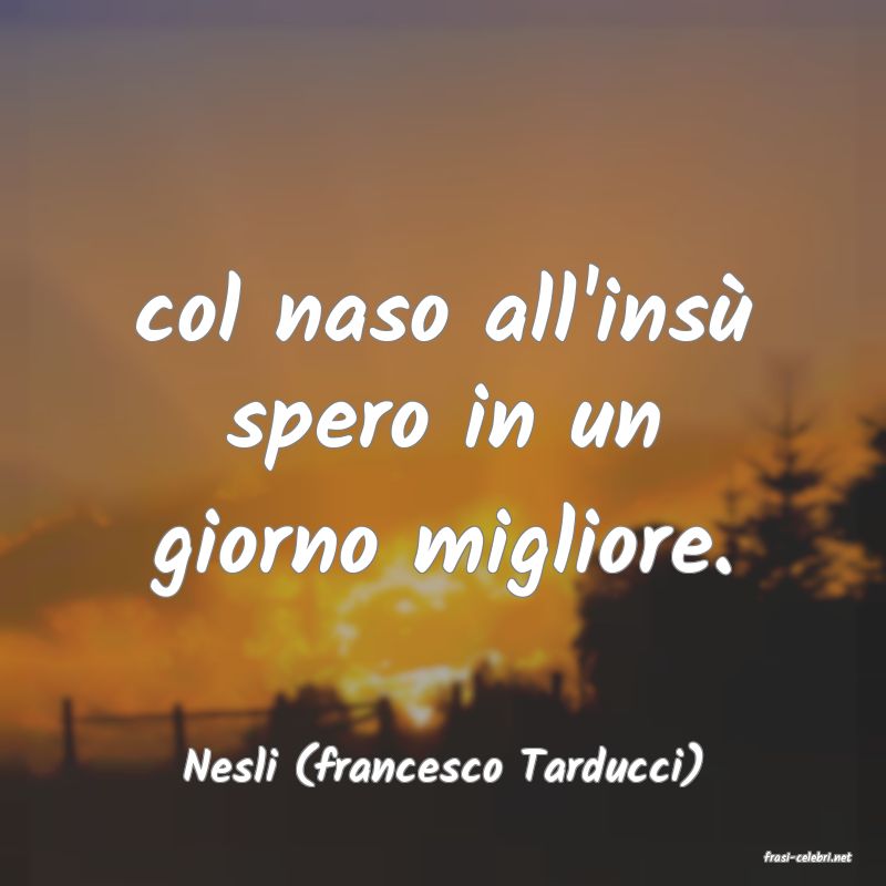 frasi di Nesli (francesco Tarducci)