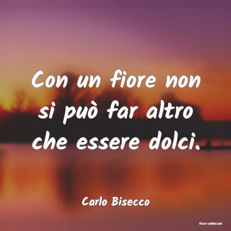 frasi di  Carlo Bisecco
