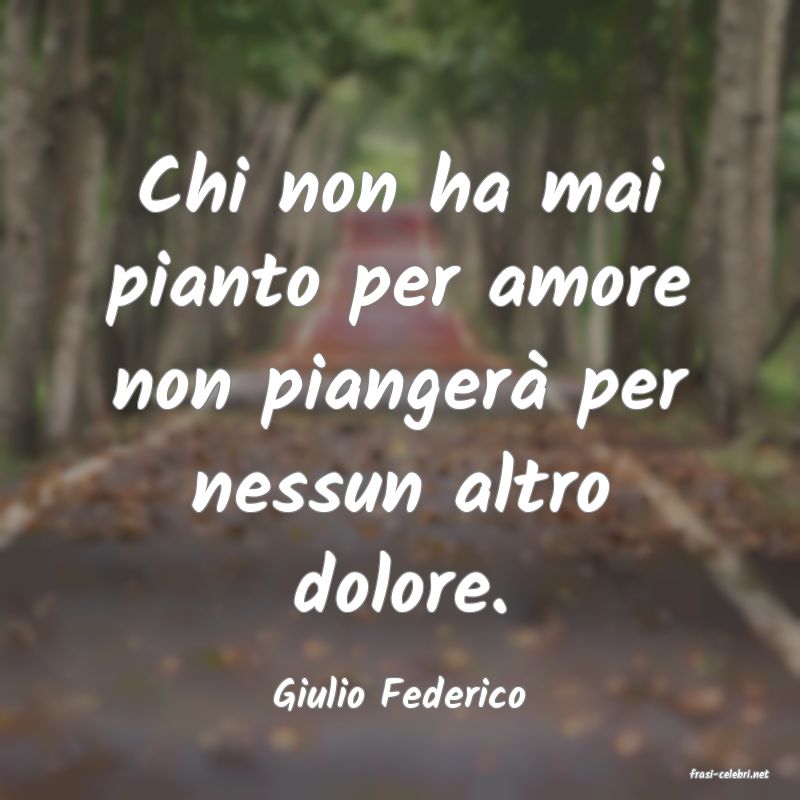 frasi di  Giulio Federico
