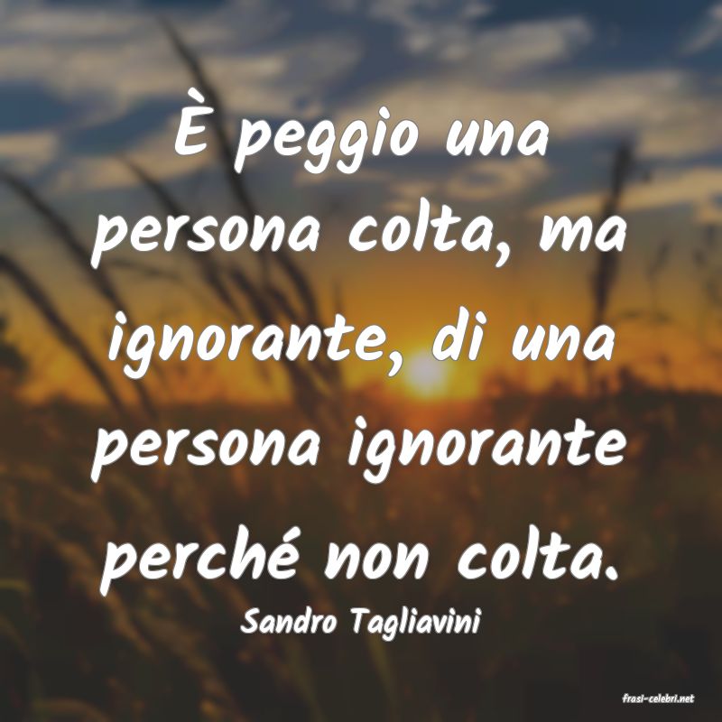 frasi di  Sandro Tagliavini
