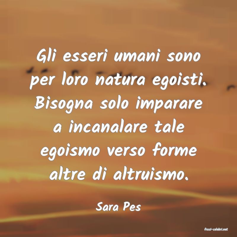 frasi di  Sara Pes
