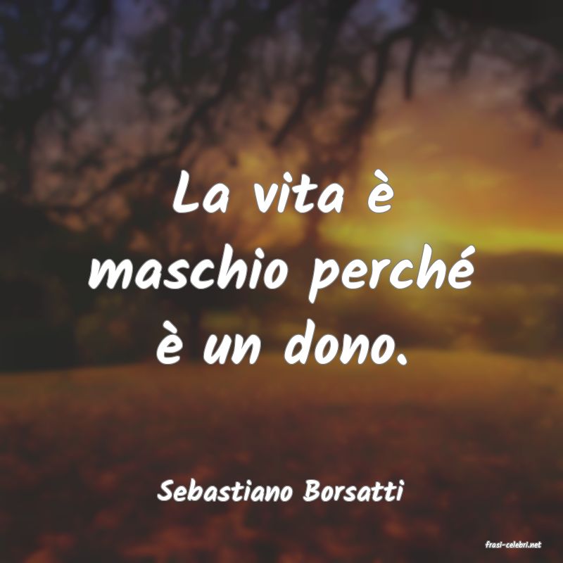 frasi di  Sebastiano Borsatti
