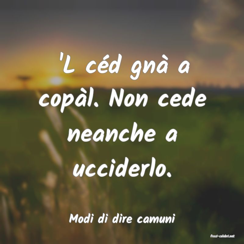 frasi di Modi di dire camuni