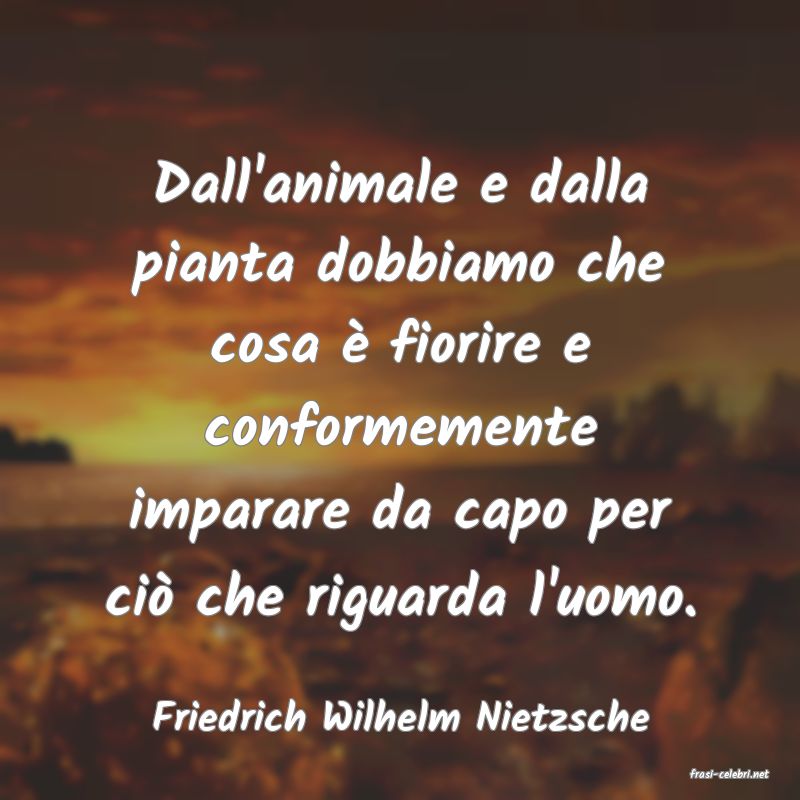 frasi di Friedrich Wilhelm Nietzsche