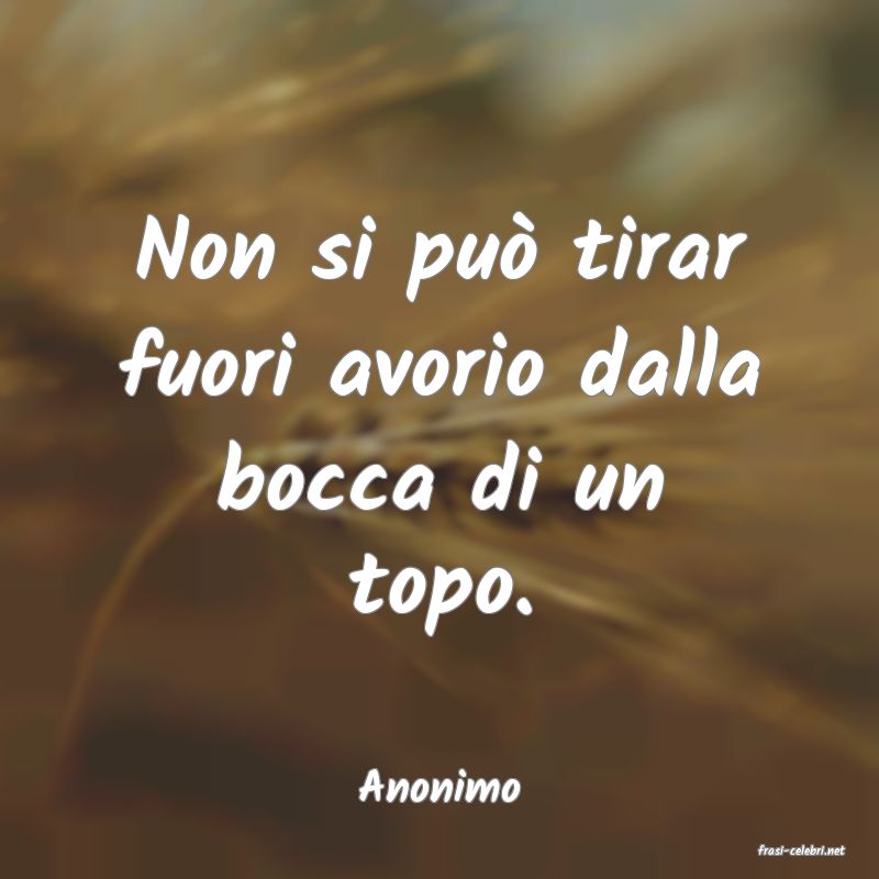 frasi di Anonimo