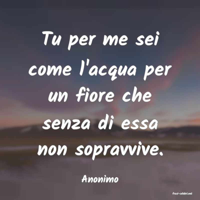 frasi di Anonimo
