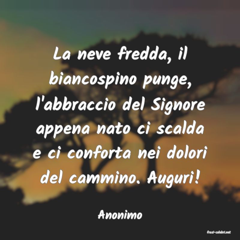 frasi di Anonimo