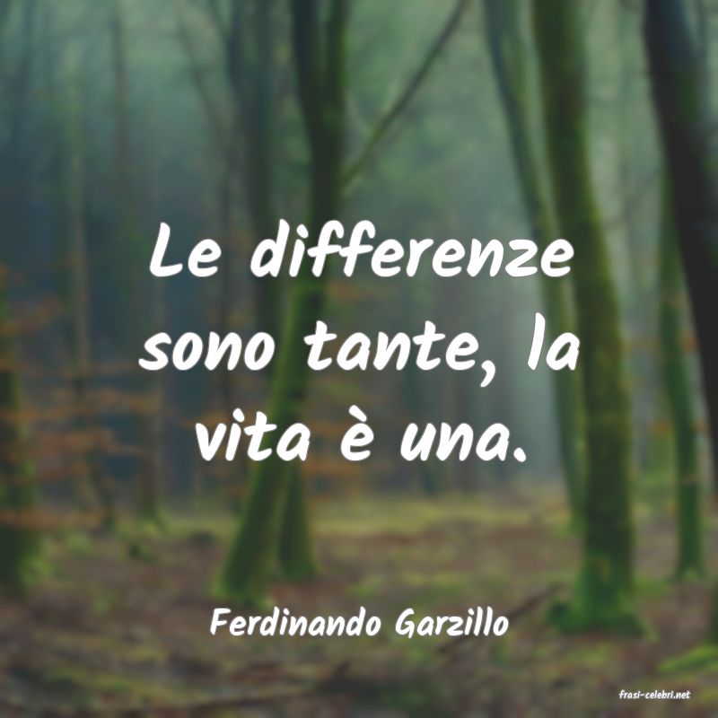 frasi di  Ferdinando Garzillo
