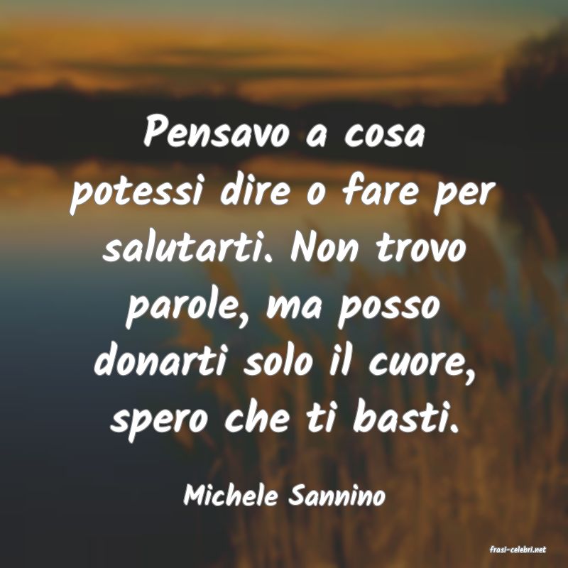 frasi di  Michele Sannino
