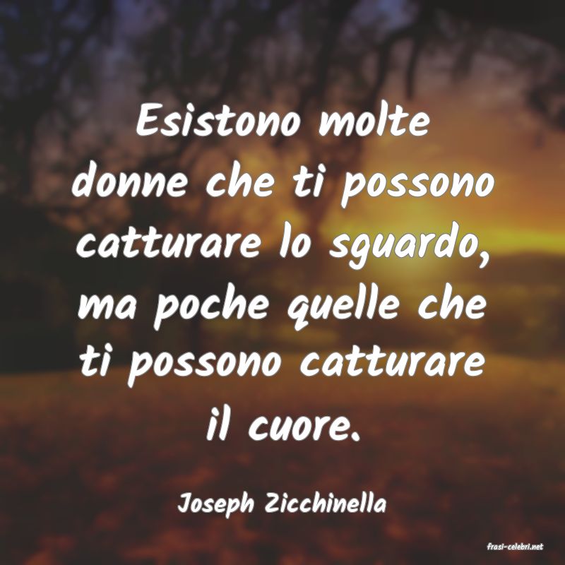 frasi di Joseph Zicchinella