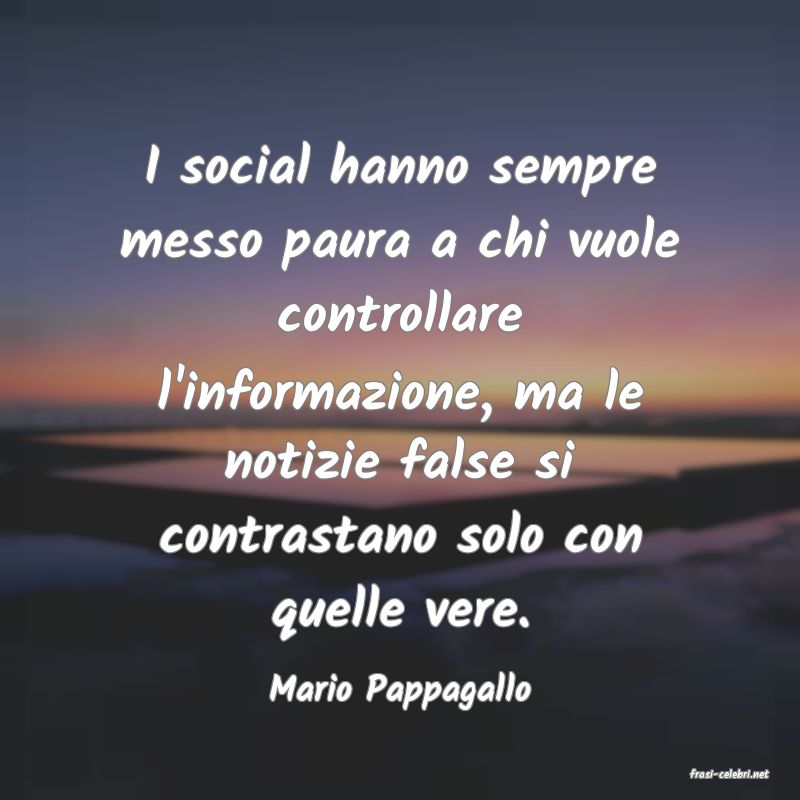 frasi di  Mario Pappagallo
