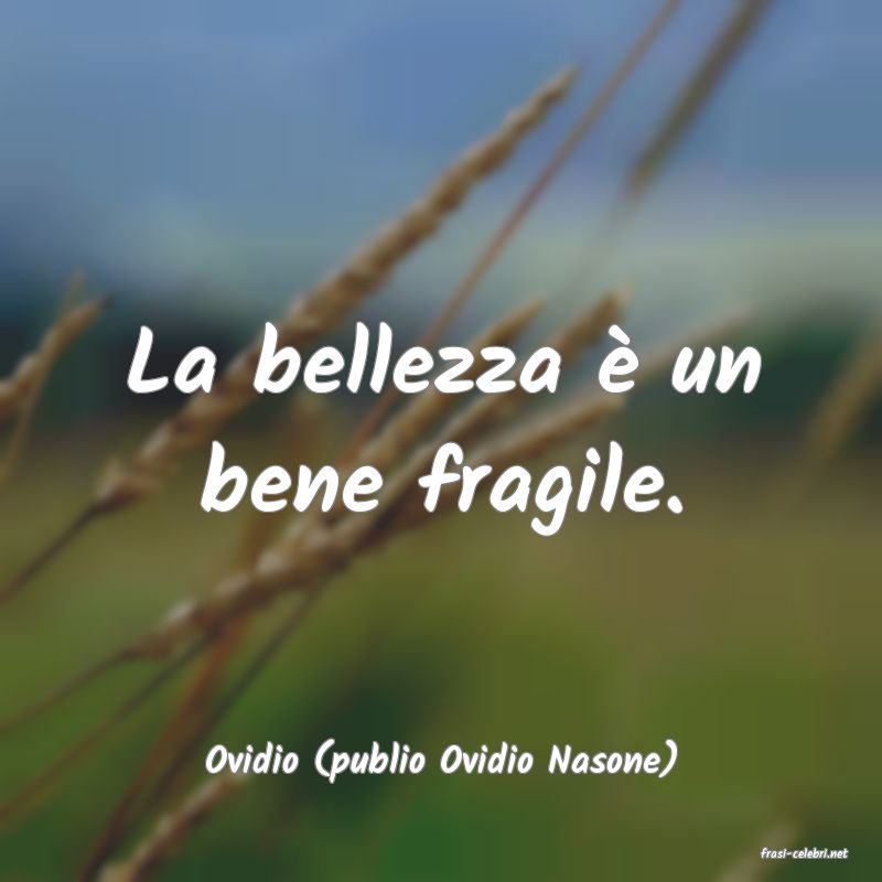 frasi di  Ovidio (publio Ovidio Nasone)
