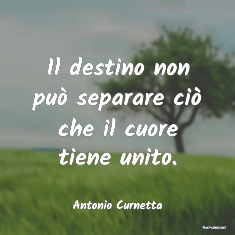 frasi di  Antonio Curnetta
