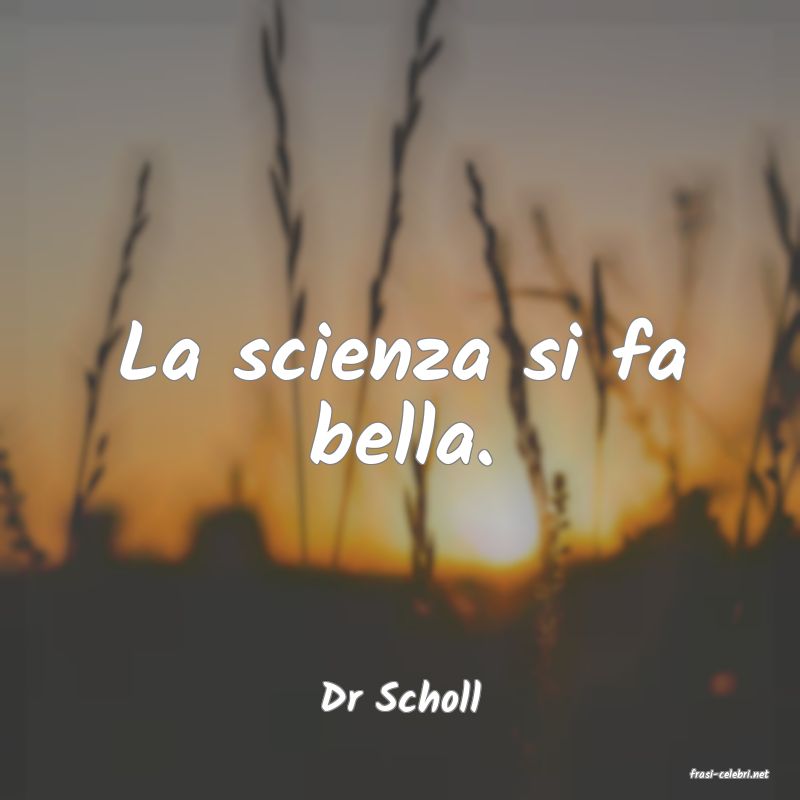 frasi di  Dr Scholl

