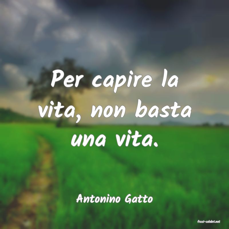 frasi di  Antonino Gatto
