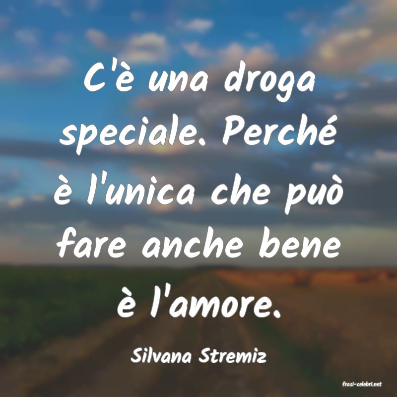 frasi di Silvana Stremiz