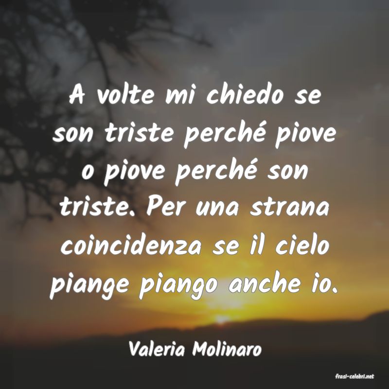 frasi di Valeria Molinaro