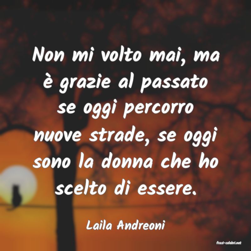 frasi di Laila Andreoni