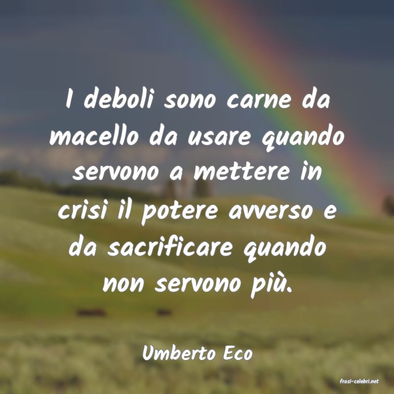 frasi di Umberto Eco