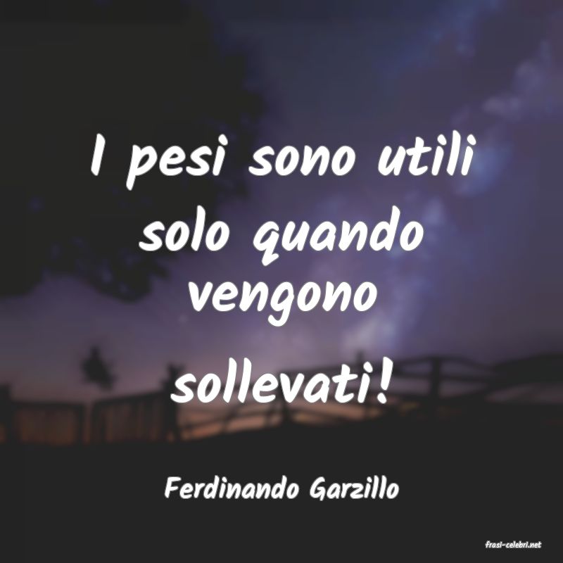 frasi di  Ferdinando Garzillo
