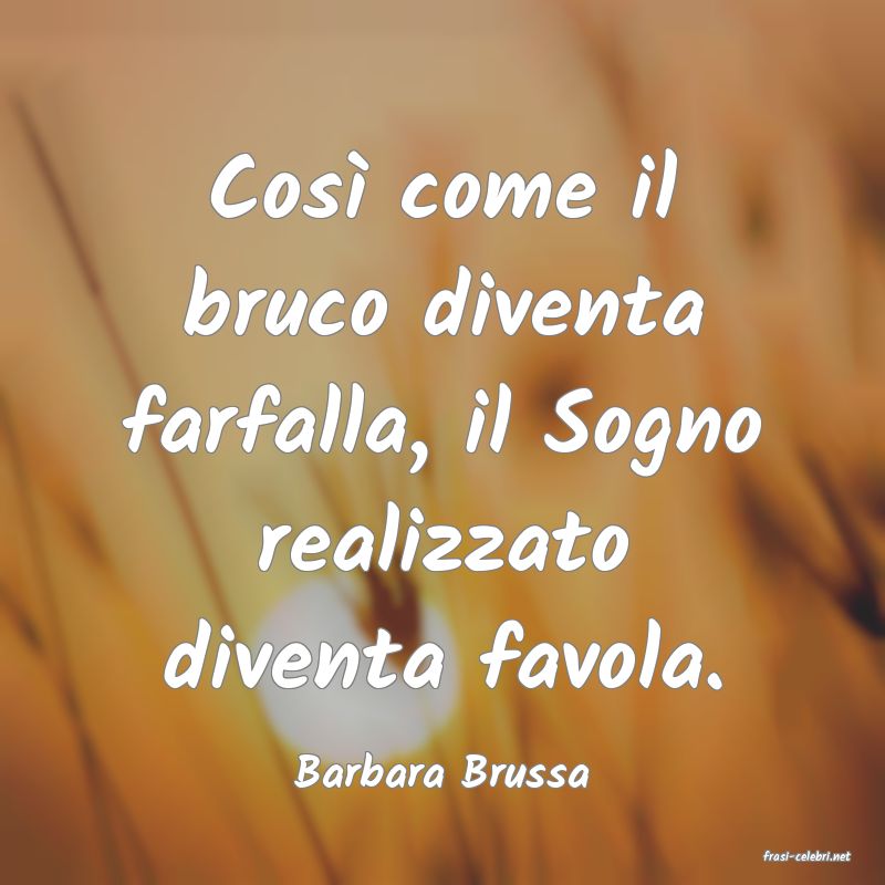 frasi di  Barbara Brussa
