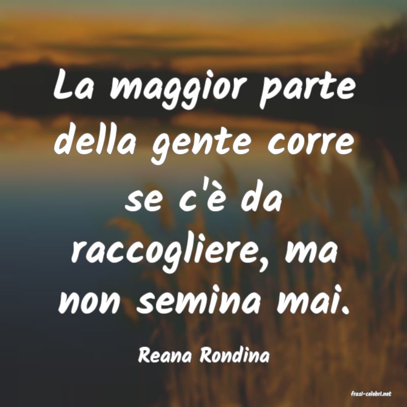 frasi di  Reana Rondina
