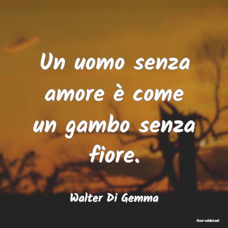 frasi di  Walter Di Gemma
