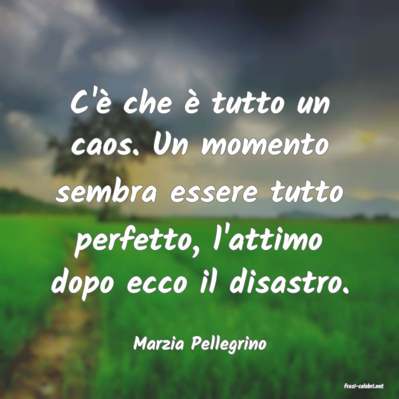 frasi di  Marzia Pellegrino
