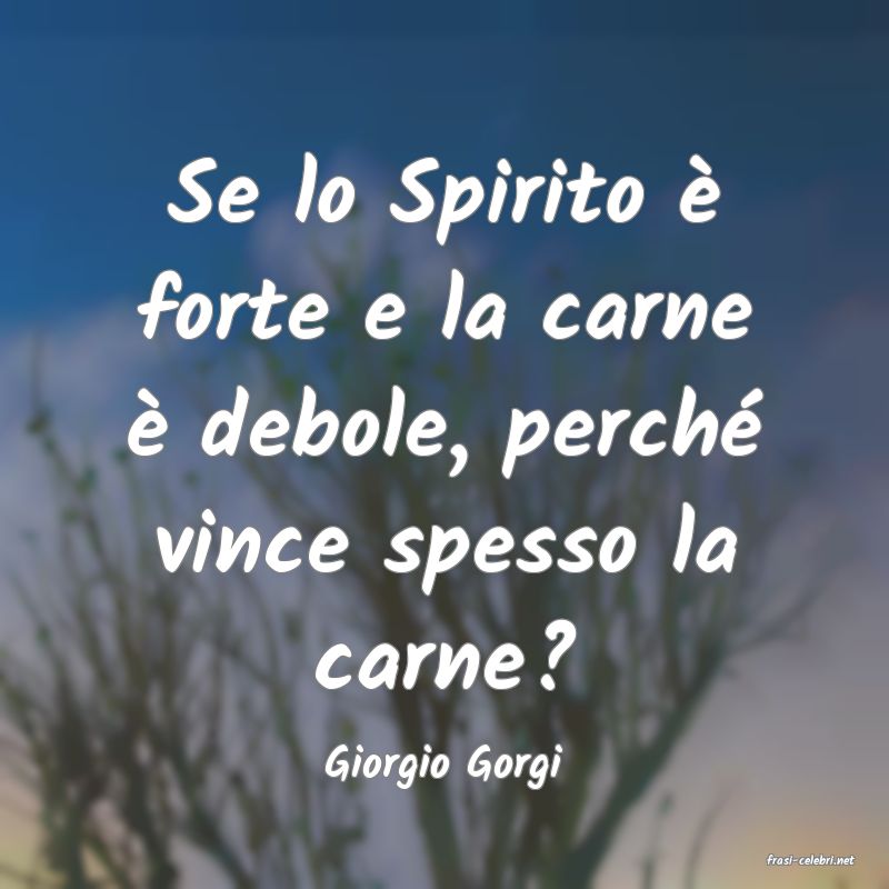 frasi di  Giorgio Gorgi

