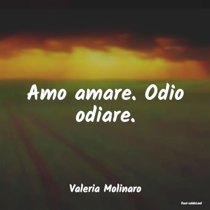 frasi di Valeria Molinaro
