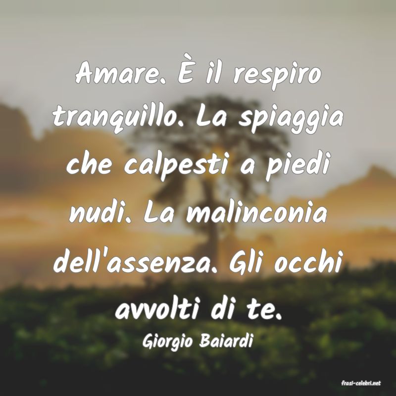 frasi di  Giorgio Baiardi
