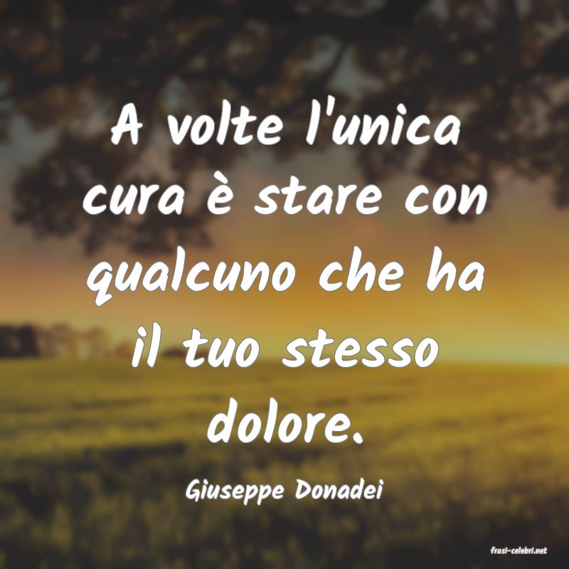 frasi di  Giuseppe Donadei
