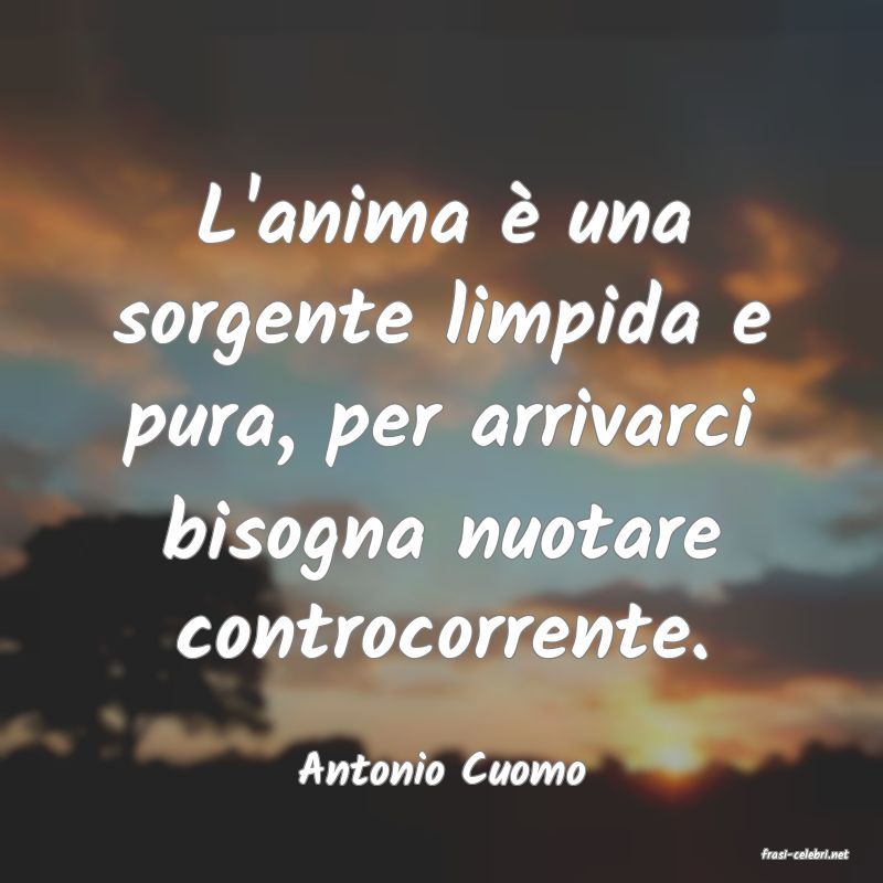 frasi di  Antonio Cuomo
