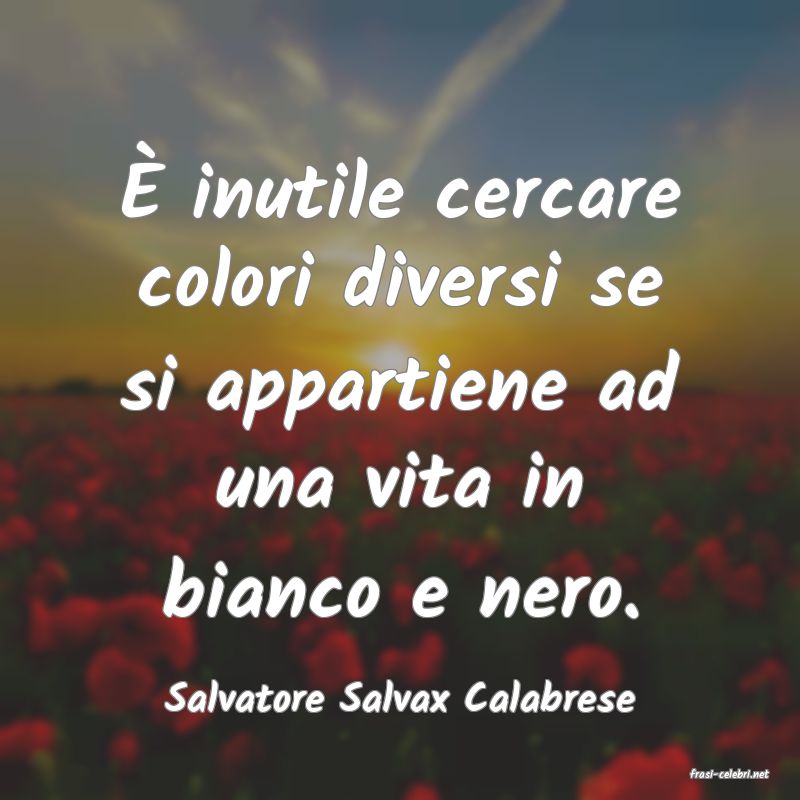 frasi di  Salvatore Salvax Calabrese
