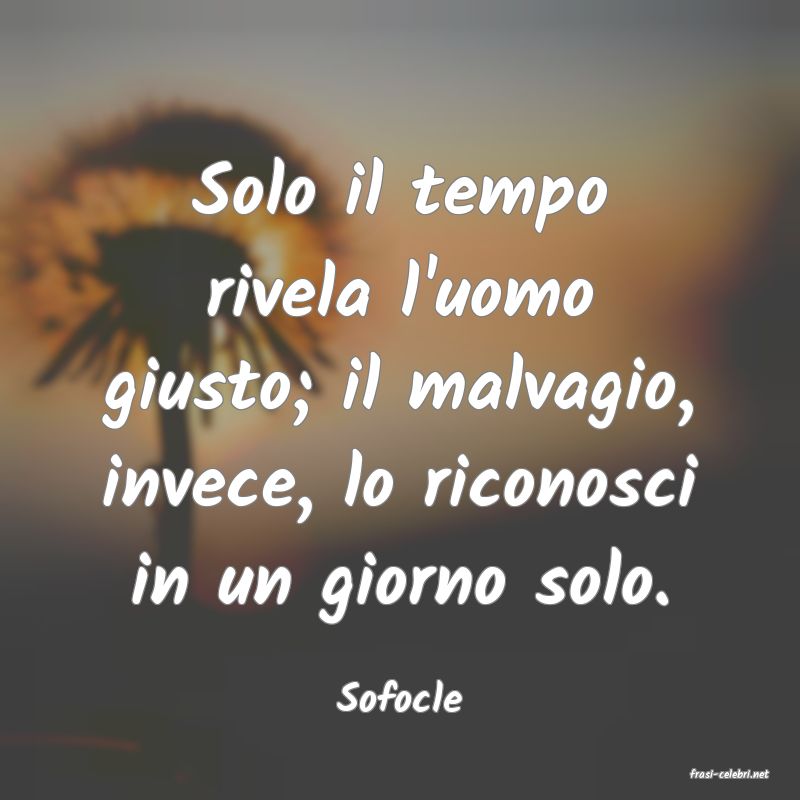 frasi di  Sofocle
