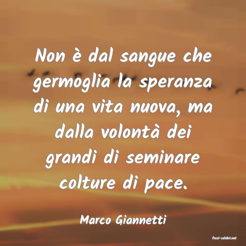 frasi di Marco Giannetti