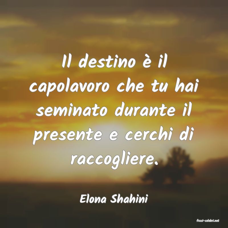 frasi di  Elona Shahini
