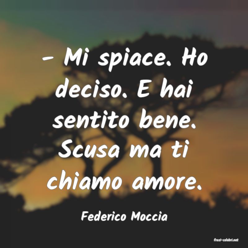 frasi di  Federico Moccia
