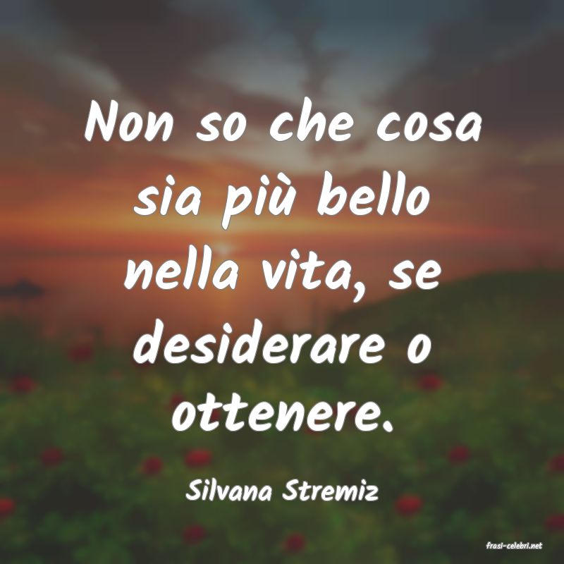 frasi di  Silvana Stremiz
