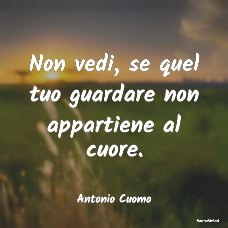 frasi di  Antonio Cuomo

