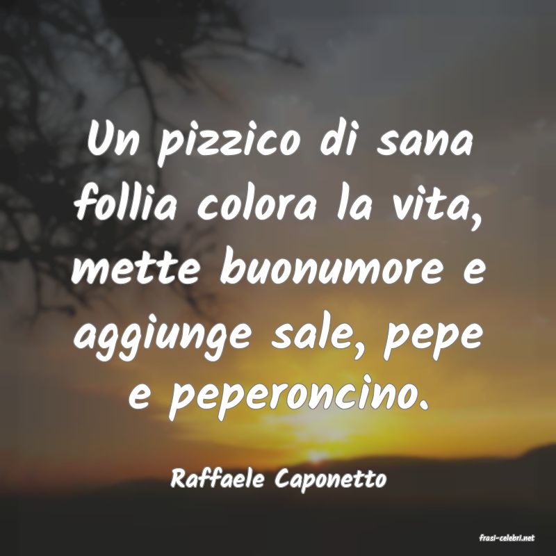 frasi di  Raffaele Caponetto
