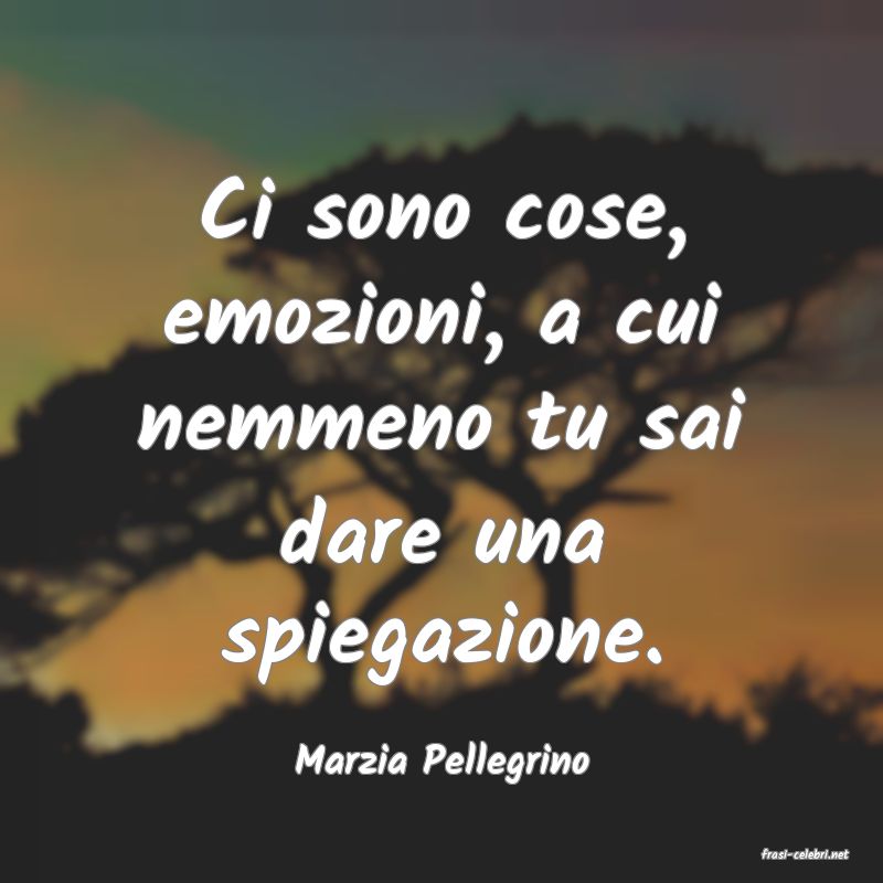 frasi di  Marzia Pellegrino
