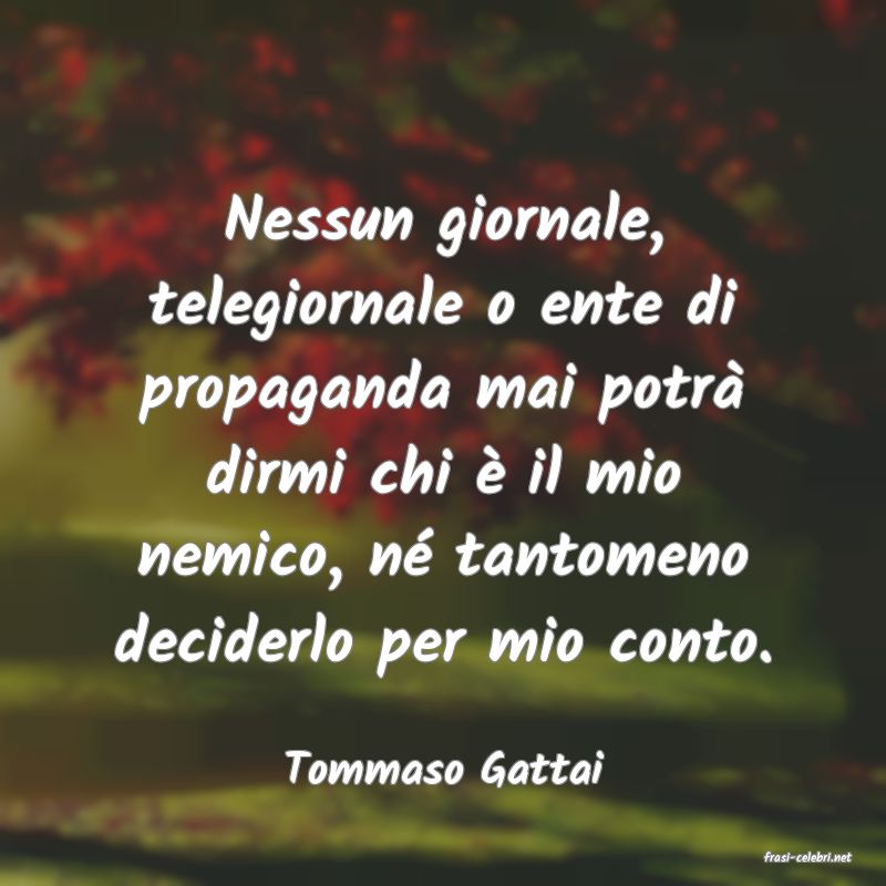 frasi di  Tommaso Gattai
