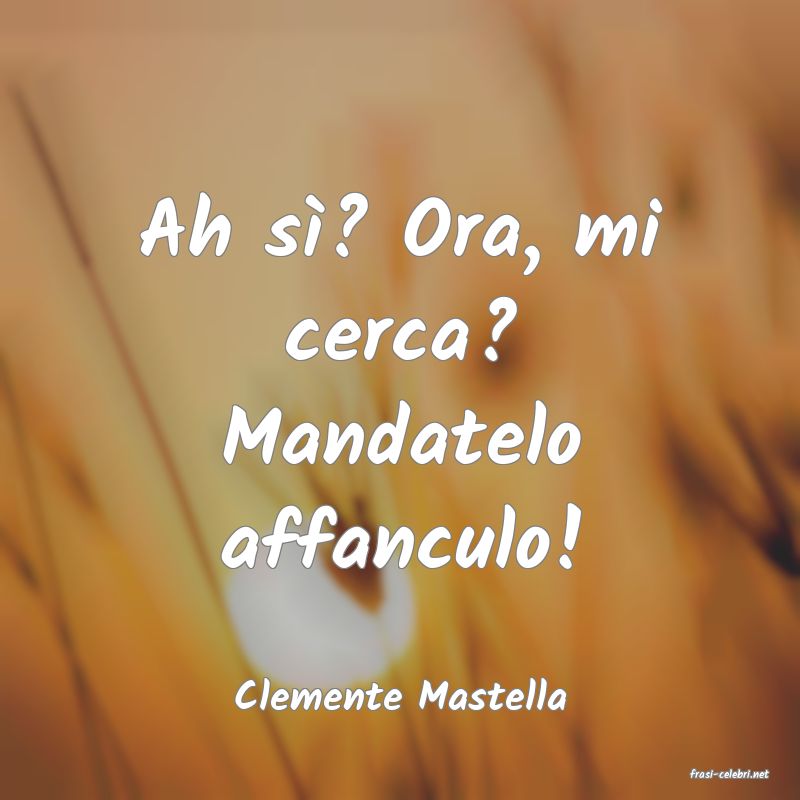 frasi di  Clemente Mastella
