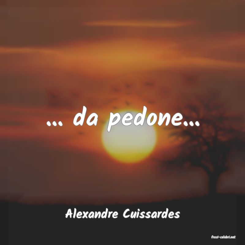 frasi di  Alexandre Cuissardes
