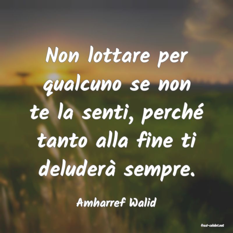 frasi di  Amharref Walid
