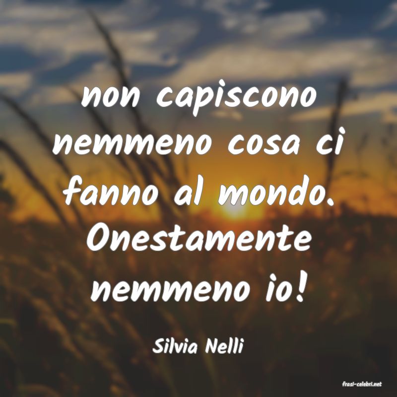 frasi di  Silvia Nelli
