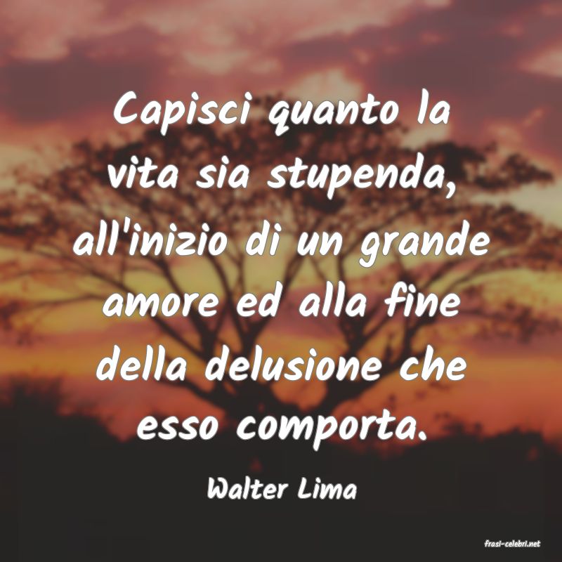 frasi di  Walter Lima
